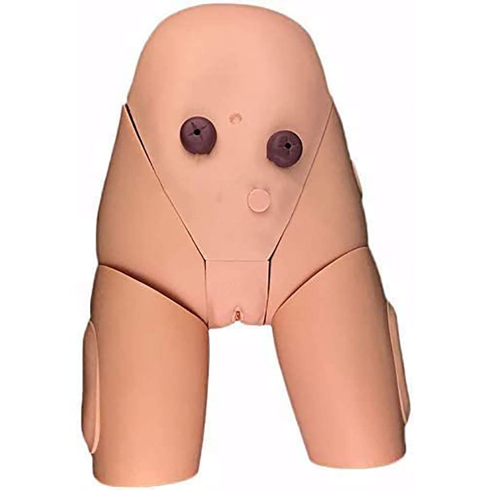 Model cewnikowania męsko-żeński model anatomiczny narządów płciowych wewnętrzny i zewnętrzny model szkoleniowy do praktyki medycznej lalka ćwiczeniowa PVC model nauczania dla lekarzy