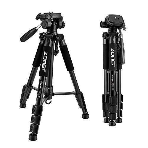 ZOMEI Compact Light Weight Travel Portable Aluminum Camera Tripod for Canon Nikon Sony DSLR Camera with Carry Case(Black)