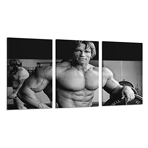 Bodybuilding Posters Arnold Schwarzenegger Muscular Man Posters Living Room Bedroom Bar Gym Dining R Canvas Painting Wall Art Poster For Bedroom Living Room Decor 24X36Inch(60X90Cm) Frame-Style #TOP24