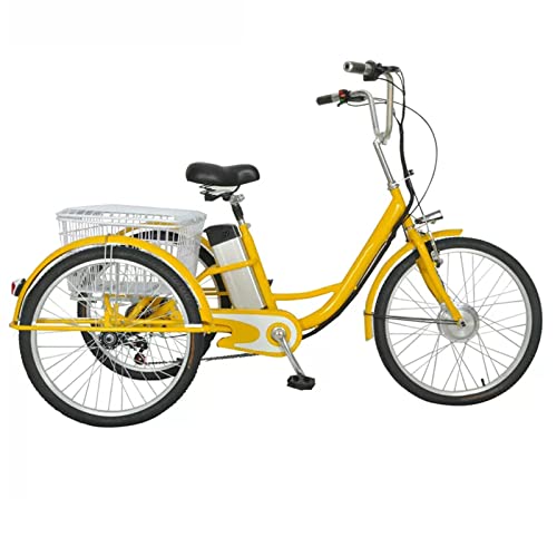 Tricycle électrique de 61 cm pour adulte, 48 V/12 Ah, vélo à 3 roues, 3