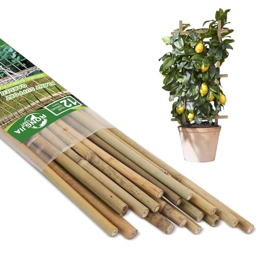 Strong Bamboo Stakes, Multi-Purpose Bamboo Plant Support Stakes, Best Garden Stakes Decoration for Tomato, Bean, Flowers,Trees Potted and Climbing Plant Support (12 inch, Pack of 25)