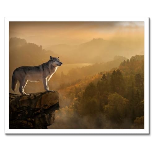 Poster loup gris sur l'escarpement cadre noir 50x40 cm