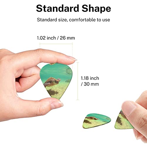 Lord Howe Island Sea Turtle Lot de 6 médiators pour guitare acoustique, guitare électrique, basse, ukulélé – fin, moyen… - Les Beatles, Paul McCartney, John Lennon, RIngo Starr, George Harrison Lord Howe Island Sea Turtle Lot de 6 médiators pour guitare acoustique, guitare électrique, basse, ukulélé – fin, moyen… – Image 8