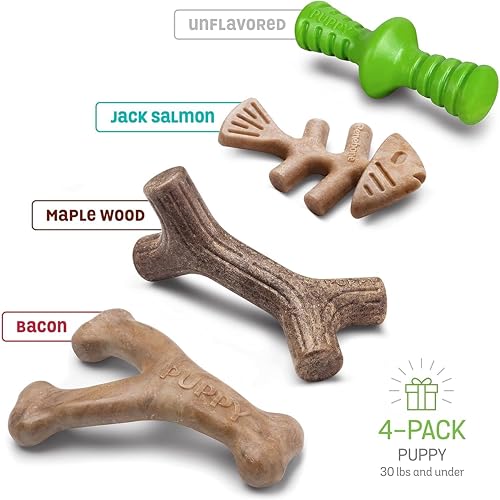 Benebone Puppy Unzerstörbare Hundekauspielzeug Geschenkbox für aggressive Kauer mit Querlenker, Fischgräten, Stock & Zaggler, lang anhaltende Langeweile Brecher, Aromen, für Welpen,