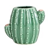Aewill Ceramic Cactus Pen Holder Stand Cup Cactus Pencil Holder Organizer Makeup Brush Holders for Home Office Desk (Green Cactus)