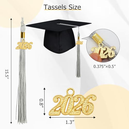Image of GraduationMall Single&Multiple Color Graduation Tassel with 2026 Year Charm 9 inch