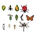 NUOBESTY 3 Juegos Figuras de Ciclo de Vida de Insectos Figuras de Mariposa Libélula Mariquita Ciclo de Vida Juguetes Figuras de Insectos Juguetes De Ciencia Juguetes Educativos para Niños