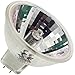 Philips 31619-0 300W Halogen Lamps