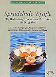 Sprudelnde Kräfte - Die Bedeutung von Zimmerspringbrunnen im Feng Shui