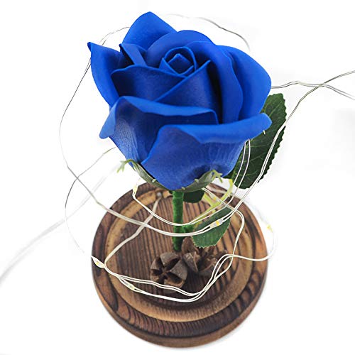 Jieway A Bela e a Fera Rosa Encantada Flor Rosa em uma Cúpula de Vidro com Luz LED USB Base de Madei