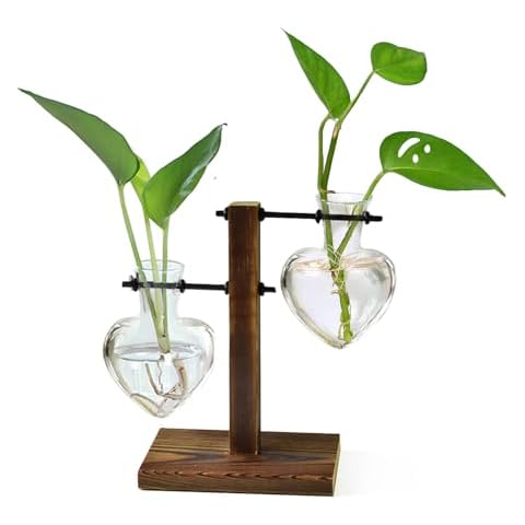 XXXFLOWER Plant Terrarium Wooden Stand, Hydroponic Planter Bulb Glass Metal Swivel Holder Retro Air Plants Water Plants for Home Office Decoration, Plant Lover Gifts - 2 Love Bulb Vase Cover