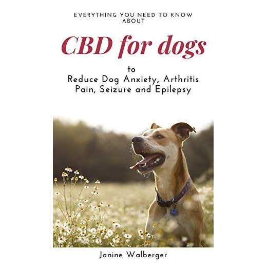 CBD For Dogs: To Reduce Dog Anxiety, Arthritis Pain, Seizure and Epilepsy