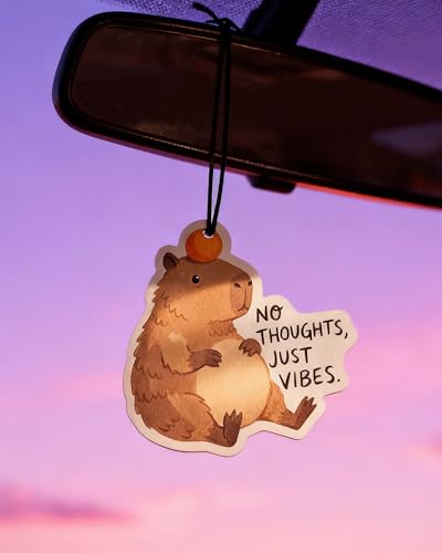 Image of Funny Car Air Freshener 5pcs Cute Capybara Raccoon Frog Opossum Chicken Animal Fresheners, Hanging Car Accessories for Women Teen Girls, Funny Gift for New Drivers