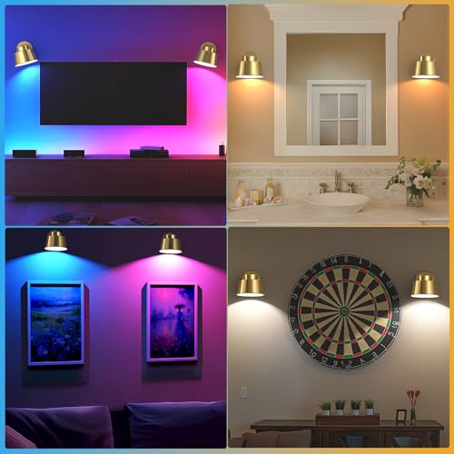Image of AIBOO Art Display Lights, Picture Lights Rechargeable Gold, Color Changing & Dimmable with Remote LED Rotatable Wall Lights for Pictures, Paintings, Portraits, Artworks (2 Pack)