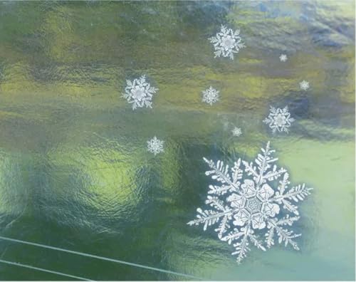 Plaque flexible en polycarbonate transparent 1mm pour abri de terrasse