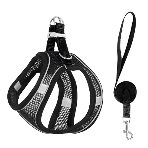 1 Pz Pettorina Cane Taglia Piccola Nero Circonferenza del Collo 28-30cm, Imbracatura Regolabile Rete Morbida Traspirante Facile Indossare 1.5m Corda Piatta, Per Cani Piccoli