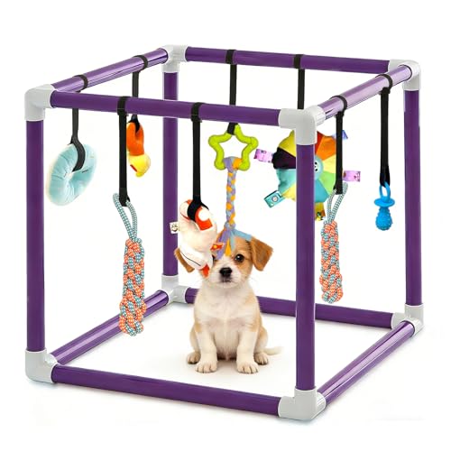 CISSIYOG Studio per cuccioli con 8 giocattoli sospesi, telaio in PVC viola, centro attività per cani di piccola taglia, paradiso di gioco con giocattolo squittio e masticare (50 x 50 x 50 cm)