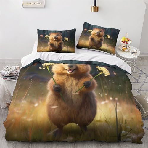 Housse couette double 200x200 microfibre coton avec taie d'oreiller - 4
