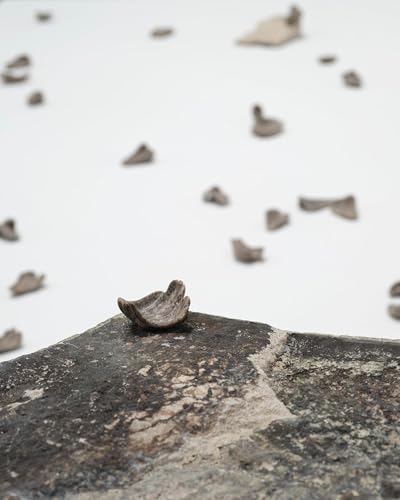 Bethany Collins, Gladys Nilsson