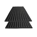Tatoa 2 Pack Sound Proof Foam Panels for Walls,48x24x2 Inch Acoustic Foam Panel,High Density Fire Resistant Soundproof Foam for Home,Studio,Reducing Noise & Echo