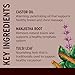 Banyan Botanicals Breast Care Balm – Organic Herbal Salve with Tulsi & Palmarosa – for Lymph Massage & Breast Health – Promotes Healthy Circulation – 4 oz – Non GMO Sustainably Sourced Petroleum Free