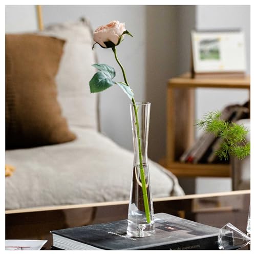 ԕr   KX ԕr ֑} VvԊ ͔|  ԗp rO Q ItBXȂǂ̑ɓKv[g 20cm (A)