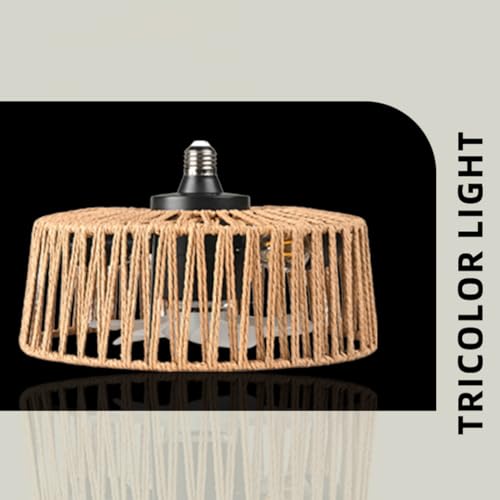 Lampe de plafond de style industriel rétro avec ventilateur télécommandé