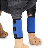 HYSMF