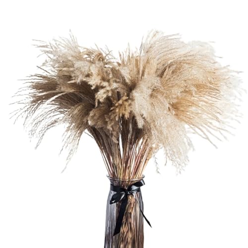 Ramo de pasto pampas natural secado 50 piezas miniatura 1
