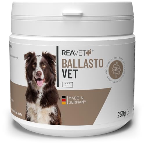 ReaVET BallastoVET für Hunde 250g – schnelle Unterstützung bei Verstopfungen beim Hund, bei akuten & chronischen Verstopfungen & festem KOT, Verdauungshilfe für Hunde, schnelle Hilfe bei Darmträgheit