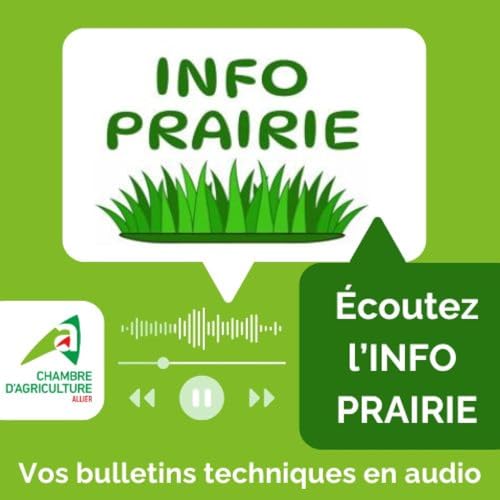 Bulletin INFO PRAIRIE de la Chambre d'agriculture de l'Allier (version audio) cover art