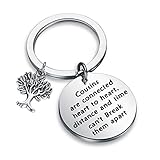 QIIER Cousin Keychain Cousin Jewelry for Cousins “Cousins are Connected Heart to Heart. Distance and time Can't Keep Them Apart” (Silver)