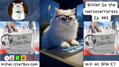 BOOM! Go the Narcoterrorists | In the Litter Box w/ Jewels & Catturd – Ep. 882 9/16/2025 Podcast Por arte de portada