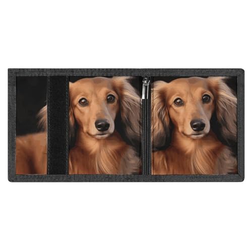 Long Haired Dachshund Trifold Wallet, Card Cases And Money Oganizer Thin Stylish Mini Coin Bag with Zipper Coin Pocket Credit for Men And Women4