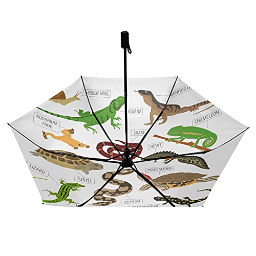Parapluie pliable compact pour iguana et tortue avec protection UV marron