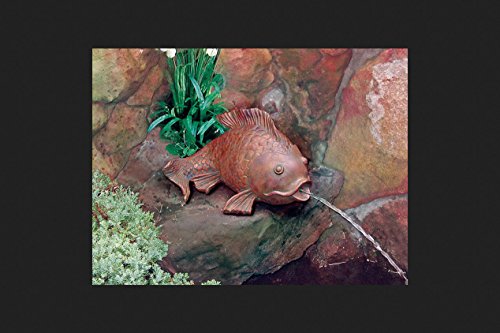 Beckett GF509 Goldfish Pond Art