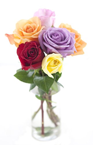 KaBloom PRIME NEXT DAY DELIVERY - Rainbow Roses (Half Dozen) - With Vase .Gift for Birthday, Sympathy, Anniversary, Get Well, Thank You, Valentine, Mother’s Day Fresh Flowers