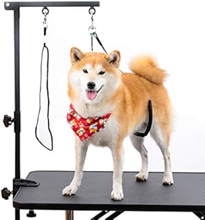 Breeze Touch Dog Grooming Table Arm - 35” Dog Grooming Stand with Clamp and Post, Loop Noose, No Sit Haunch Holder Grooming Restraint for Small & Medium Dogs