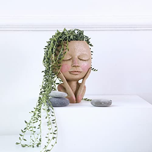 Aimebby Face Flower Pot Head Planter Pot Succulent Planter Cute Resin Cactus Planter With Drainage Hole Closed Eyes,Dark #TOP2