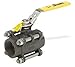 Carbon Steel Ball Valve Inline 1"