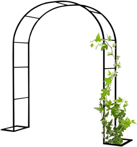 Pergola en métal et treillis pour rosiers afin de créer un ombrage fleuri