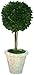 Mills Floral Company Box Topiary, Single, Large, 6