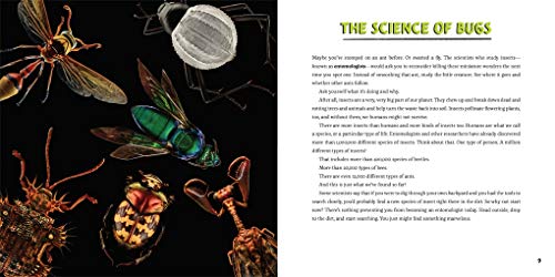Strange Nature: The Insect Portraits of Levon Biss - Image 7