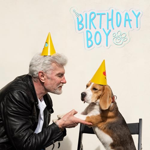 Image of Boy Dog Birthday Neon Sign Birthday Decorations Pet Puppy Birthday Party Gifts for dog lovers-14.5 x 12.2 Inches-USB Powered-Acrylic