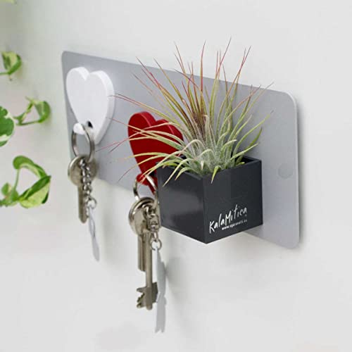 KalaMitica - Magnetic Wall Board - Holder for Fridge Magnets - Silver - 9 x 24 cm, Silver New, W9 x H24 cm - Image 4
