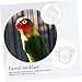 UPKOCH Parrot Collar Bird Cones Plucking Prevention Acrylic Collar for Macaw Cockatoo Easy to Adjust Bird Supplies