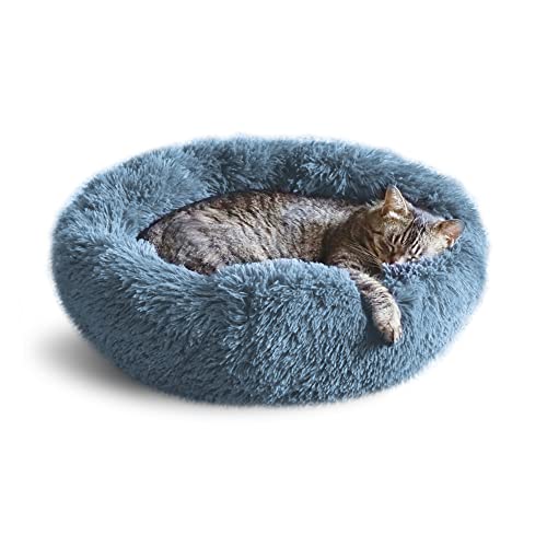 Top 10 Cat Bed For Arthritis of 2022 Katynel