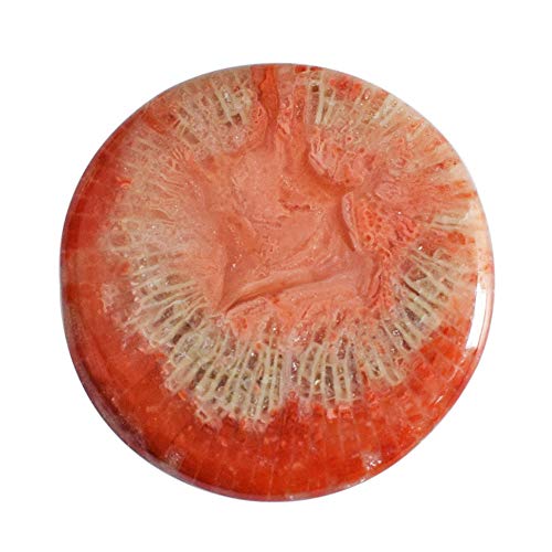 Cabochon rond en corne rouge naturelle d'Utah, une pierre fine d'exception de 28x28mm
