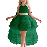 Girls Dress Train Mesh Tiered Cake Skirt Pageant Gown Fashion Show Piano Recital Performance (Dark Green, 3-6 Months)