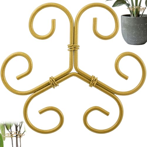 CustomyLife Climbing Houseplant Stem Supports, Plastic Plant Stem Holders, Reusable Flower Plant Growth Stakes Trellis Stem Growth Accessories for Garden Balcony- Gold